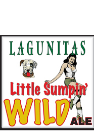 Lagunitas A Little Something Wild