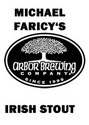 Arbor Brewing Michael Faricy's irish Stout