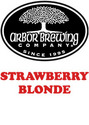 Arbor Brewing Strawberry Blonde