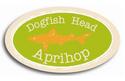Dogfish Head Aprihop Ale 
